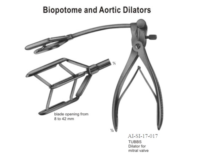 Tubbs aortic dilator